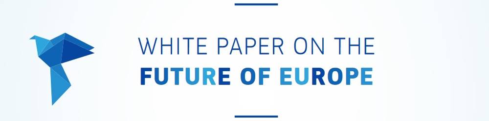 Carte albă privind viitorul Europei: Căi spre unitatea UE cu 27 de state membre