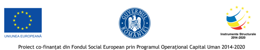 590 de aplicații la Acceleratorul de Întreprinderi Sociale gestionat de Fundația Alături de Voi România și fonduri-structurale.ro!