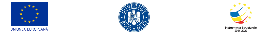 Anunț finalizare proiect „Retehnologizare ROMIV SRL”